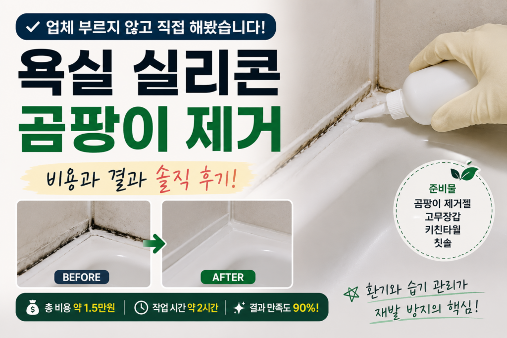 곰팡이 제거젤 사용해서 욕실 곰팡이 없애는 법 설명하는 인포그래픽